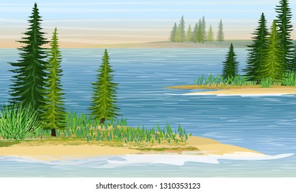 Bays in the sea or a large lake. Sandy beach with grass and fir trees. Summer. Realistic Vector Landscape