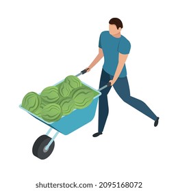 Bazaar isometric composition with isolated human character carrying barrow with cabbage vector illustration