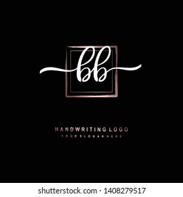 BB initial signature logo. handwriting logo template vector,