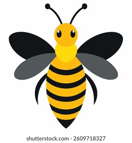 Bcc vector on white background