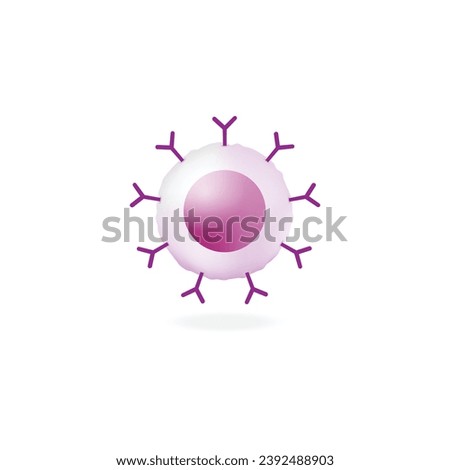 B-cell leukocytes. B lymphocytes. Plasma cell and memory B cell. b cell differentiation, antigen stimulation of surface receptor, plasma cell producing monoclonal antibodies. Vector illustration.