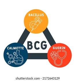 BCG Bacillus Calmette-Guerin acronym. medical concept background.  vector illustration concept with keywords and icons. lettering illustration with icons for web banner, flyer, landing page