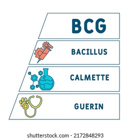 BCG Bacillus Calmette-Guerin acronym. medical concept background.  vector illustration concept with keywords and icons. lettering illustration with icons for web banner, flyer, landing page