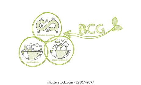 BCG-Konzept für eine nachhaltige Wirtschaftsentwicklung. Bioökonomie, Kreislaufwirtschaft, grüne Wirtschaft mit grüner Farbe auf weißem Hintergrund mit doodle Symbol für Banner, Vektorgrafik.