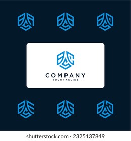 BCS hexagon logo vector. Hexagon logo design with two initials. Develop, natural, luxury, modern, finance logo, strong, suitable for your company.