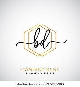 BD Initial Handwriting logo template vector