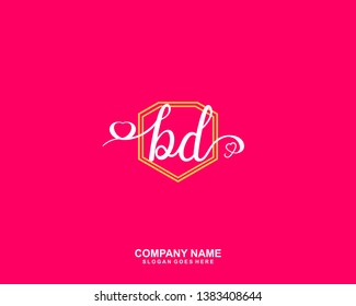 BD Initial handwriting logo vector