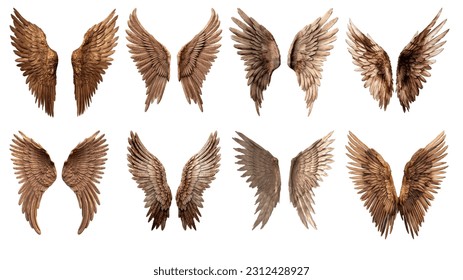 Be amazed by this collection of brown angel wings, flawlessly isolated on a transparent EPS background. Add a celestial touch to your projects with these enchanting elements.