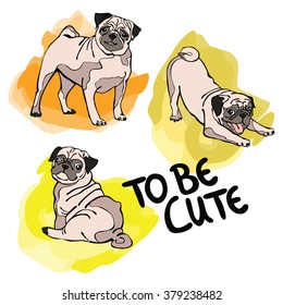 To be cute. Pug Dog. Isolated object on white background.