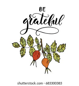 Be grateful. Handdrawn unique autumn card with brush lettering quote. Vector doodle illustration for thanksgiving day.