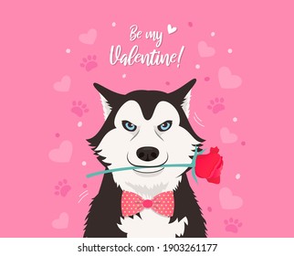 Be My Valentine! Greeting Card vector illustration. Handsome Siberian Husky dog holding a red rose in mouth