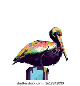 beach animal. Pelican colorful pop art