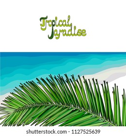 Beach background. Tropical background. Vector illustration EPS10