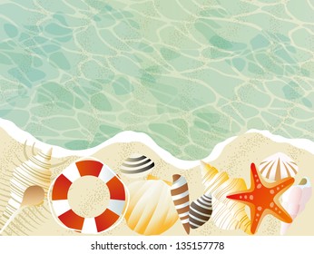 A beach with a beautiful shellfish