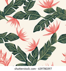 Beach cheerful seamless pattern wallpaper of tropical dark green leaves of palm trees and flowers bird of paradise (strelitzia) on a light yellow background
