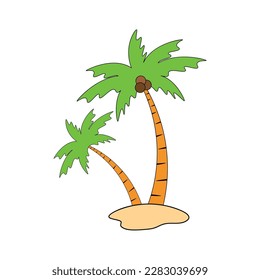 Beach coconut tree, seaside palm tree, coconut tree or island palm tree.