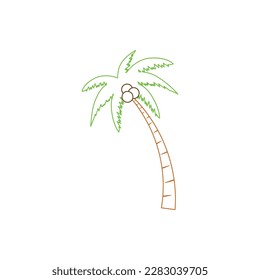 Beach coconut tree, seaside palm tree, coconut tree or island palm tree.