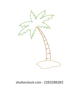 Beach coconut tree, seaside palm tree, coconut tree or island palm tree.