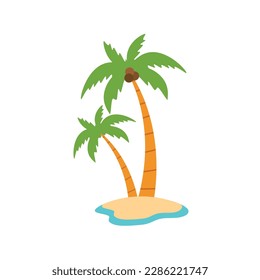 Beach coconut tree, seaside palm tree, coconut tree or island palm tree.