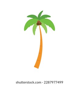 Beach coconut tree, seaside palm tree, coconut tree or island palm tree.