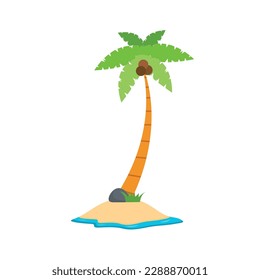 Beach coconut tree, seaside palm tree, coconut tree or island palm tree.
