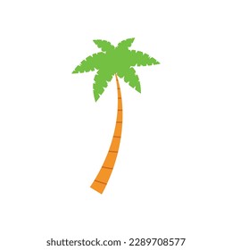 Beach coconut tree, seaside palm tree, coconut tree or island palm tree.