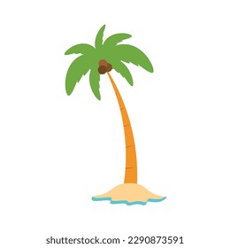 Beach coconut tree, seaside palm tree, coconut tree or island palm tree.