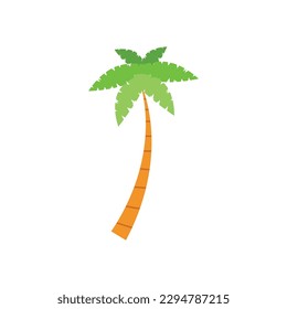 Beach coconut tree, seaside palm tree, coconut tree or island palm tree.