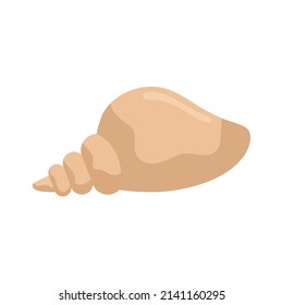 beach conch design over white
