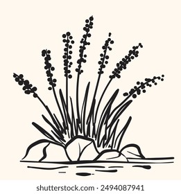 Beach grass, reeds silhouette With illustration style doodle and line art