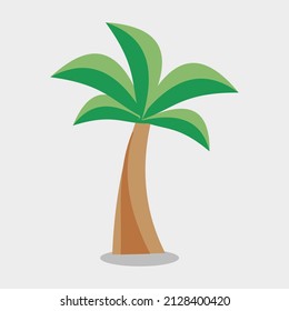 beach holiday young coconut tree