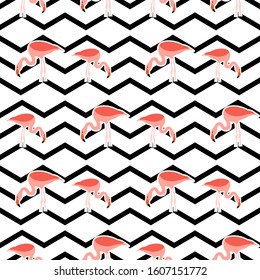 Beach image of a wallpaper with a beautiful pink flamingo and black line. Seamless vector composition on black and white zigzag background