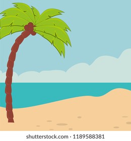 beach landscape with tree palm
