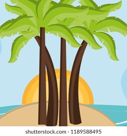 beach landscape with trees palms scene