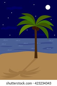 playa de noche