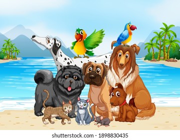 Beach outdoor scene with group of pet illustration