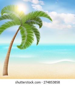 Beach with palm and clouds. Summer vacation sunny background