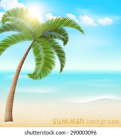 Beach with palm and clouds. Summer vacation holiday background
