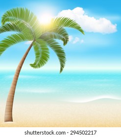 Beach with Palm and Clouds. Summer Vacation Holiday Background