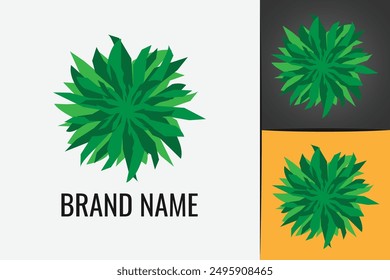 Beach palm logo. Summer palm tree logotype. Resort tropical exotic palm leaf. Coconut Tree leaves