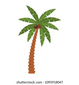 Beach palm tree