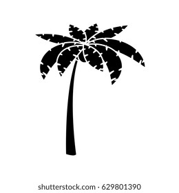 Beach palm tree