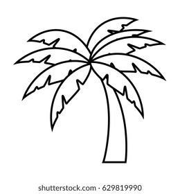 Beach palm tree