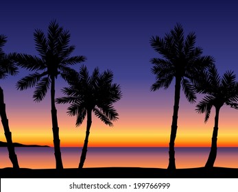 Beach and palm tree background. Sunset
