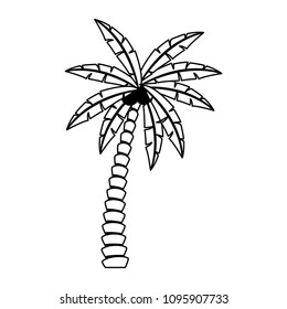 Beach palm tree in black and white