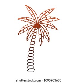 Beach palm tree red lines