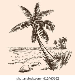 Beach and palm tree. Summer time