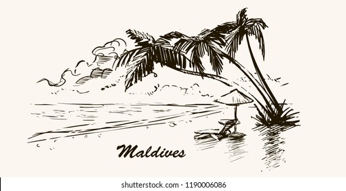 Orasnap: Beach Simple Palm Tree Drawing