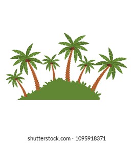 Beach palms with bush