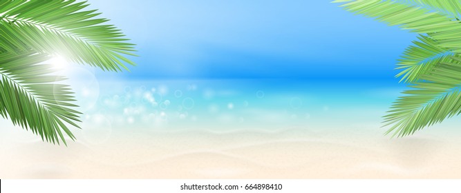 beach with palms vector